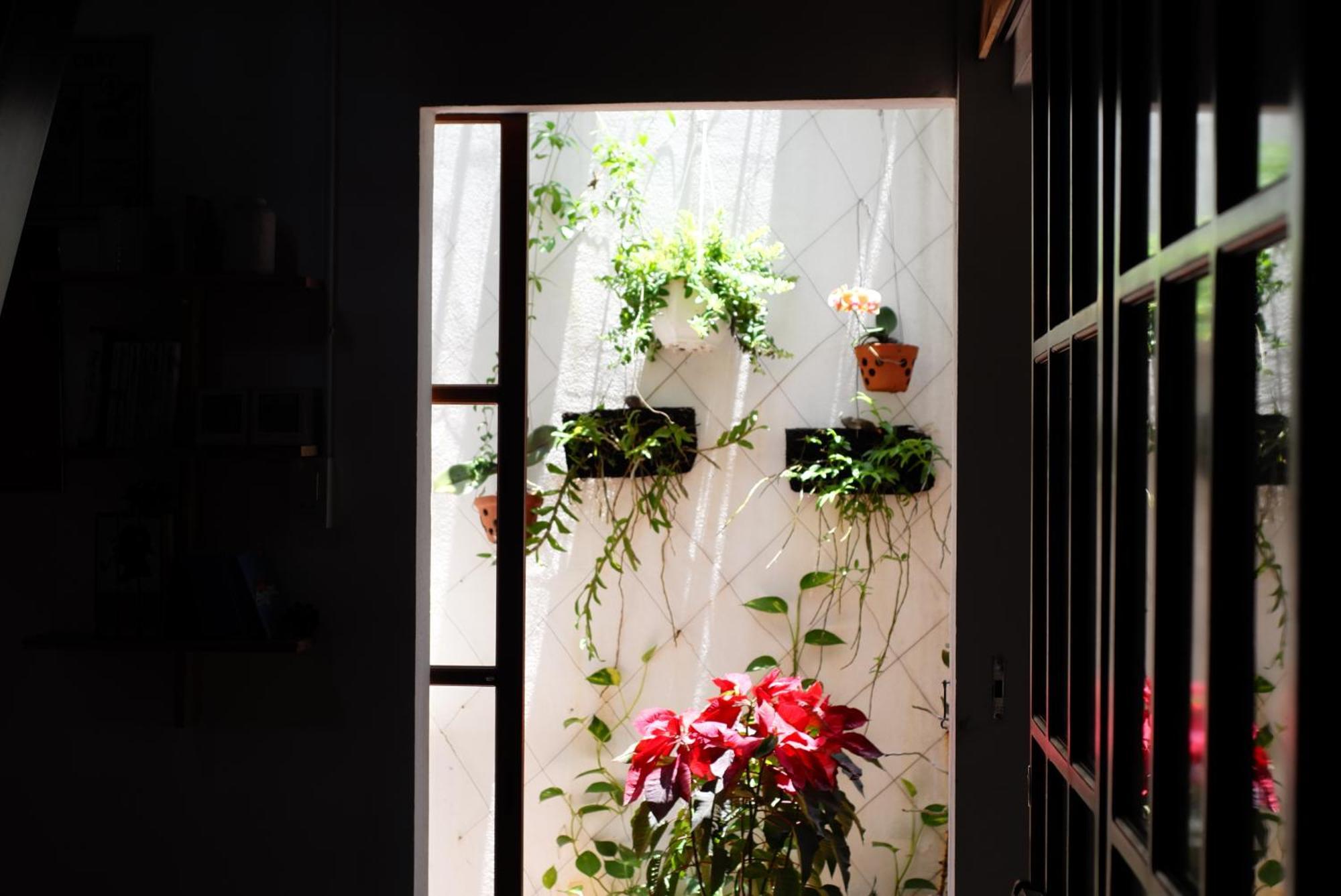 A-Maze House Apartment Huế Ngoại thất bức ảnh